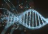 Researchers unveil new methods for DNA mosaic recognition