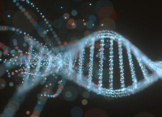 Researchers unveil new methods for DNA mosaic recognition