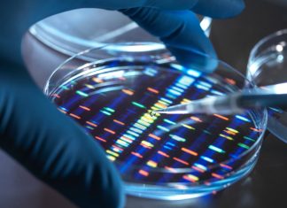What Biotechnology’s Paradigm Shift Means for Businesses – Entrepreneur