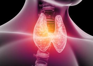 “Forever Chemicals” Negatively Impact Key Biological Processes