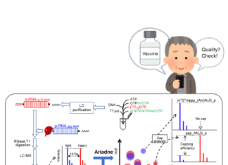 Good news for quality control of messenger RNA (mRNA) medications