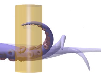 Reaching like an octopus: A biology-inspired model opens the door to soft robot control
