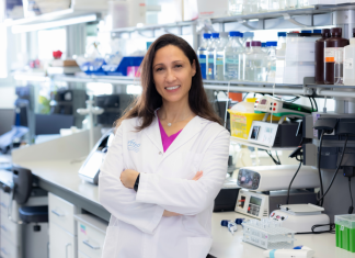 Results of pharmacokinetic analysis show Omomyc mini-protein maintains its structural integrity in tumor tissue for at least 72 hours following administration