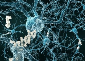 UC Davis launches new institute to advance basic knowledge of psychedelics and neurotherapeutics