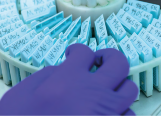 BioEcho launches EchoLUTION™ FFPE DNA Kit for a simplified DNA extraction from FFPE samples