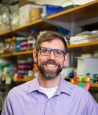 Cell-Free Synthesis of Peptidomimetic Drugs by International Research Team