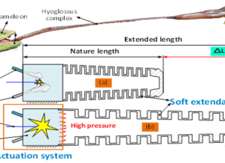 Design of a fuel explosion-based chameleon-like soft robot aided by the comprehensive dynamic model