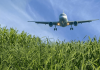 DOE funds next-generation Center for Bioenergy Innovation to advance renewable jet fuel