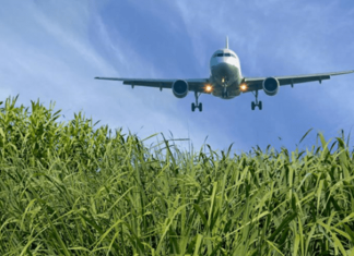 DOE funds next-generation Center for Bioenergy Innovation to advance renewable jet fuel