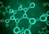 Newly designed molecule disrupts the infection mechanism of SARS-CoV-2