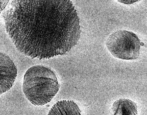 Polymer Formulation to Improve Existing Antibiotics