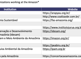 The Amazon in the Limelight: An Opportunity for Biotech in Brazil