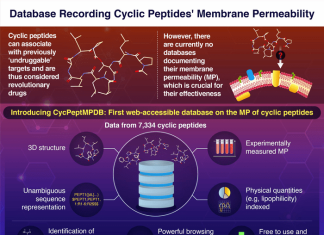 CycPeptMPDB: A database aimed at promoting drug design using cyclic peptides