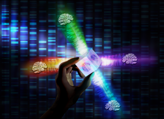 Four different autism subtypes identified in brain study