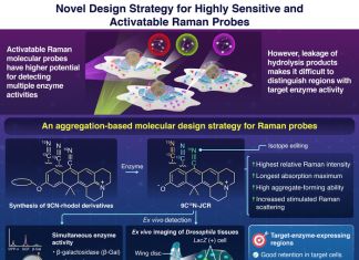 Highly sensitive Raman probe detects enzyme expression in heterogeneous tissues