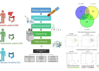 New method of clustering colorectal cancer patients using DPE sequencing
