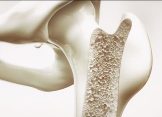 Researchers develop novel bio-inspired molecules to enhance bone regeneration