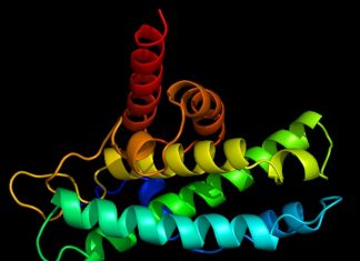 Researchers use a quick, portable process to produce promising virus-fighting protein