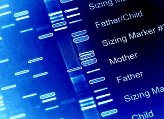 Study shows a genetic association of diarrhea in children