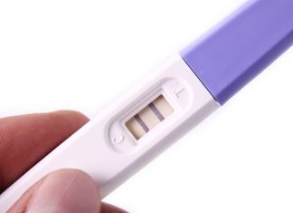 Time-restricted fasting affects reproduction differently in males and females
