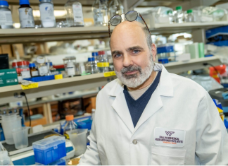 Virginia Tech researcher identifies narrow opportunity to address a rare disease linked to autism, schizophrenia