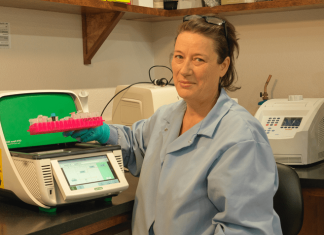 “Window into the brain”: a simple blood test to diagnose ALS is both robust and repeatable