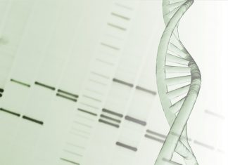 Evonetix delivers first chip-synthesized DNA to the University of Cambridge