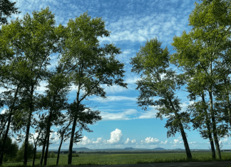 Life on land and water teeters between haves and have-nots