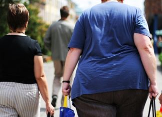 Mechanism to protect the liver from destruction in case of obesity revealed