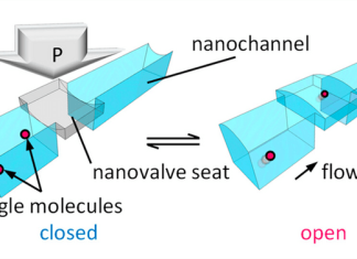 Single-molecule valve: a breakthrough in nanoscale control