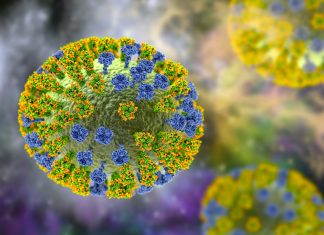 Study identifies two novel highly pathogenic avian influenza viruses (H5N1) clade 2.3.4.4b.2