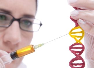 Study provides data to support gene supplementation as a treatment for autosomal dominant retinitis pigmentosa