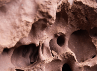 Termite mounds reveal secret to creating ‘living and breathing’ buildings that use less energy
