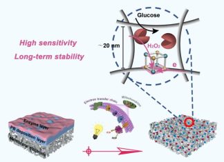 Scientists develop novel biosensing-membrane for glucose detection and monitoring