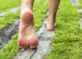 Study shows humans may have evolved a spring-like arch to help us walk on two feet