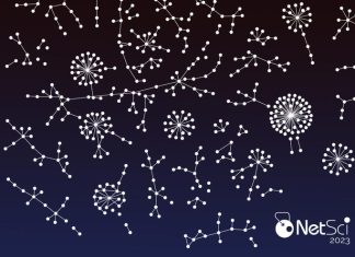 Vienna is host to the world’s largest conference on network science