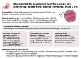Wider search needed to improve outcomes for eosinophilic food allergy