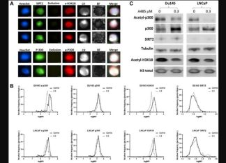 A multiplex assay to assess activated p300/CBP in circulating prostate tumor cells