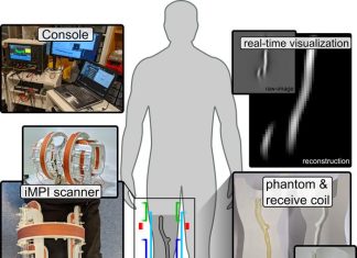 A quick look inside a human being