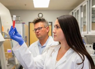 Researchers study lingering Lyme disease symptoms