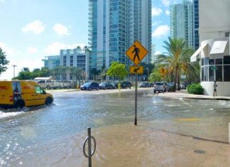 $1.5 Million NSF Award addresses inequities in flood adaptation in South Florida