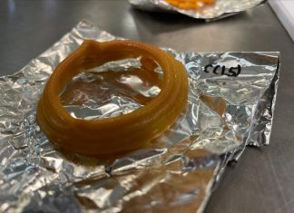 3D-printed vegan seafood could someday be what’s for dinner (video)