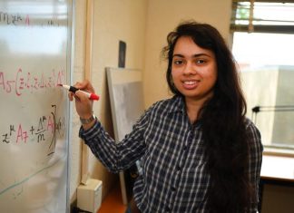 Calculations reveal high-resolution view of quarks inside protons