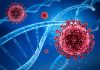 Evolutionary roadmap revealed: How SARS-CoV-2 adapted and evolved over three years
