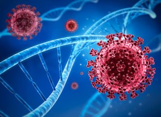 Evolutionary roadmap revealed: How SARS-CoV-2 adapted and evolved over three years