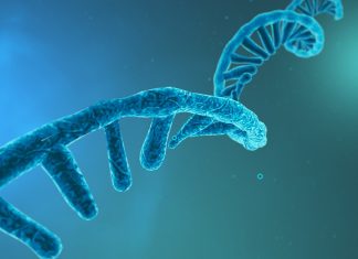 Fully electrical proof-of-concept biosensor for detecting RNA cancer biomarker sequences in solution at the single-molecule level