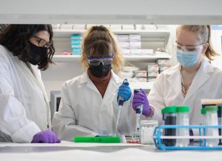 Microplastics infiltrate all systems of body, cause behavioral changes