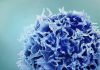 New LJI research has major implications for controlling T cell activity