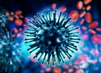 Preventing the next pandemic: swine influenza genomic surveillance essential, study shows