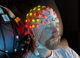 Researchers to probe brain mechanisms behind free will